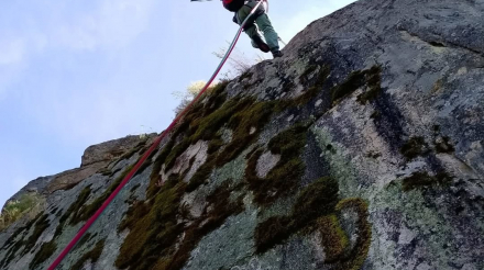 Nueva imagen de mapa de bits